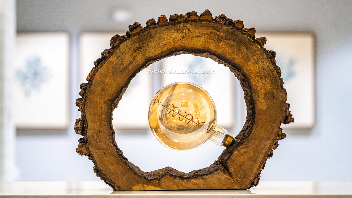 Rustic tree bark wooden table lamp- Portal