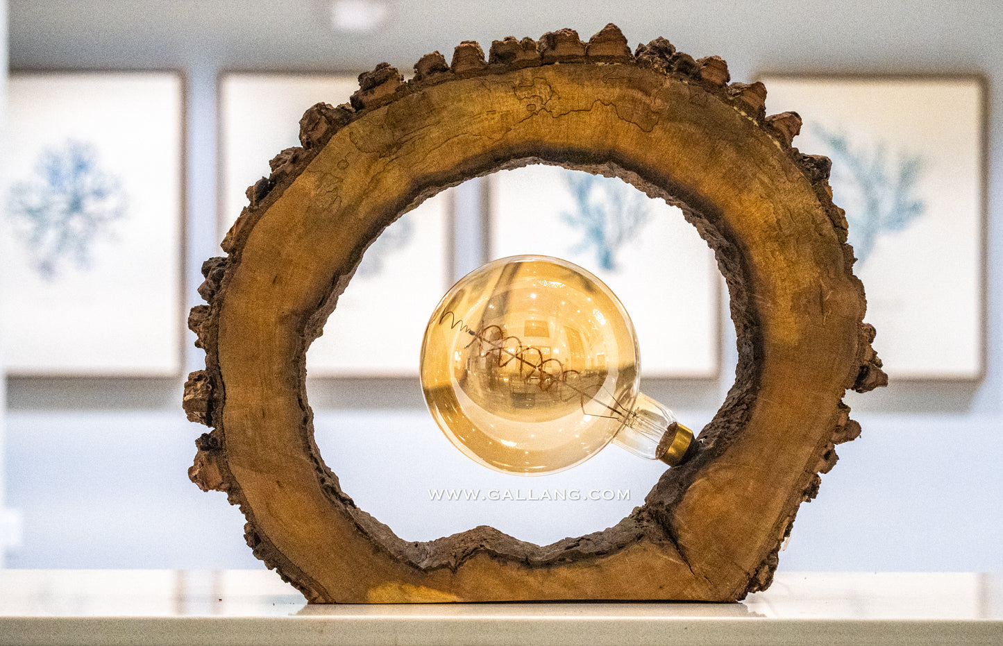Rustic tree bark wooden table lamp- Portal