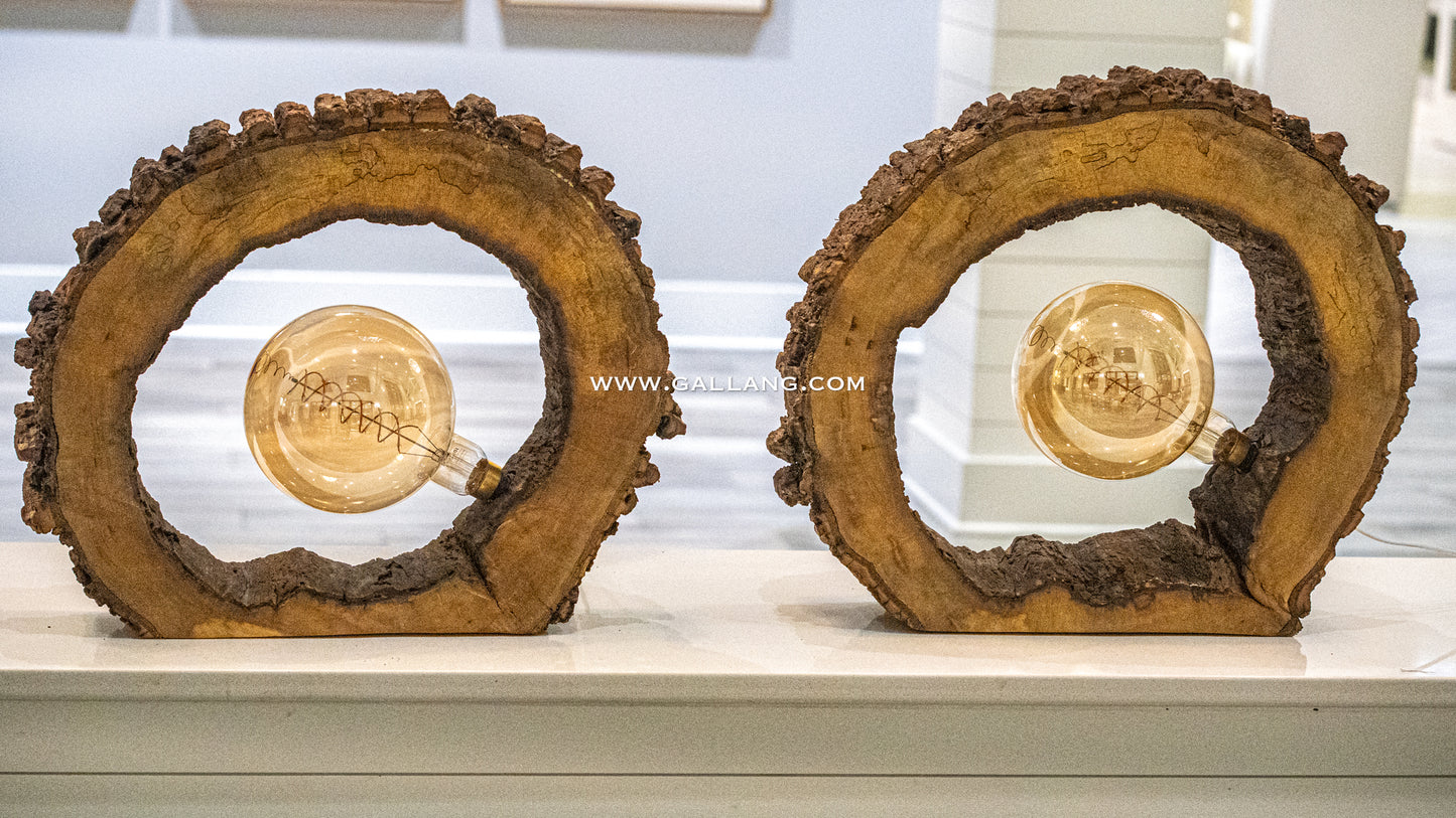 Rustic tree bark wooden table lamp- Portal